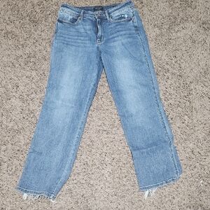 Judy Blue Light Blue Flare Jeans